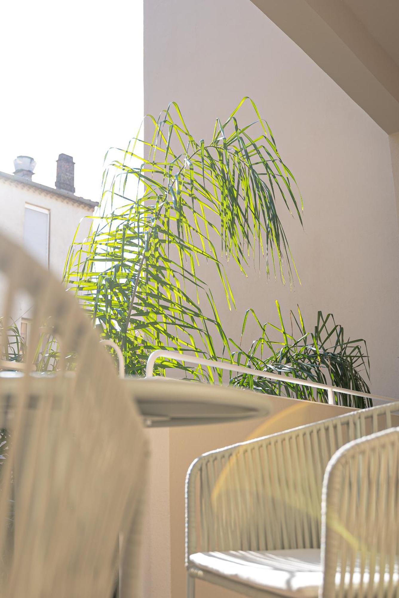 Studios Raffines Avec Terrasses - Plages, Ville Et Gare A Pied - Maison Raphael Saint-Raphaël Eksteriør bilde